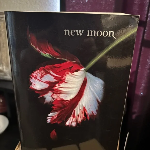 The Twilight Saga Book Set - Picture 2 of 4